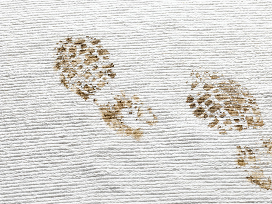 4 Tips to Keep Muddy Paw Prints Off Your Carpet