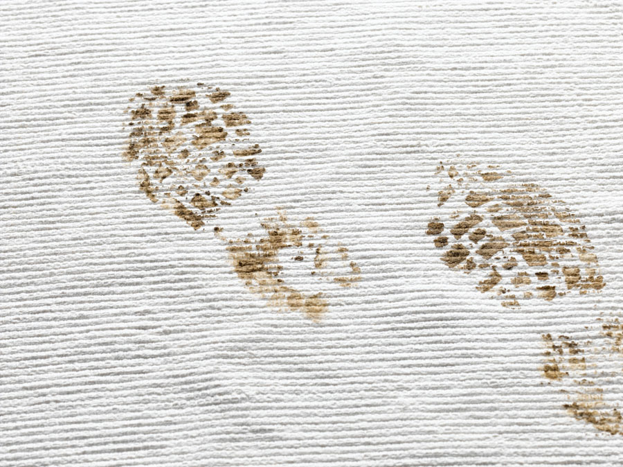 How to Get Those Muddy Stains Out of your Carpet