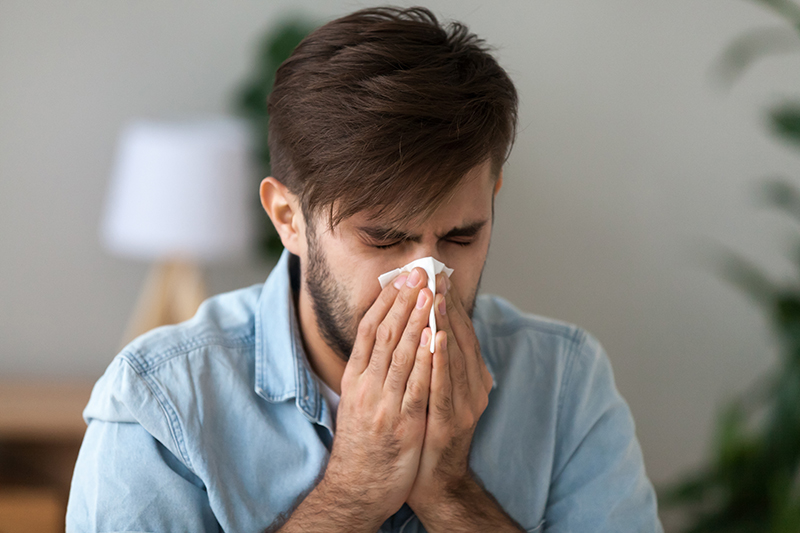 Cleaning Services Combat Allergies