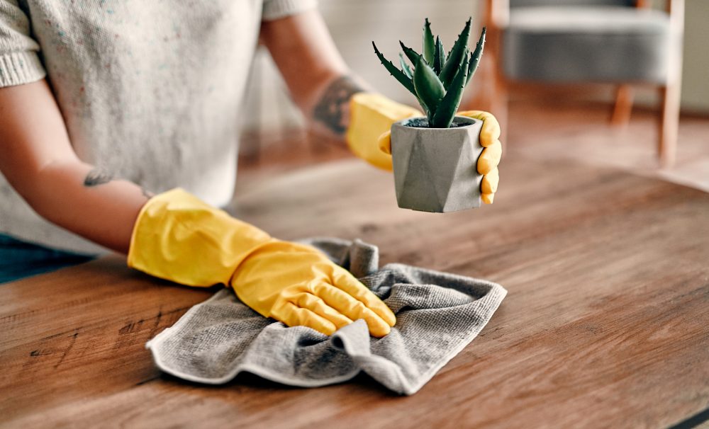 3 Reasons To Have Your Home Professionally Cleaned Daily