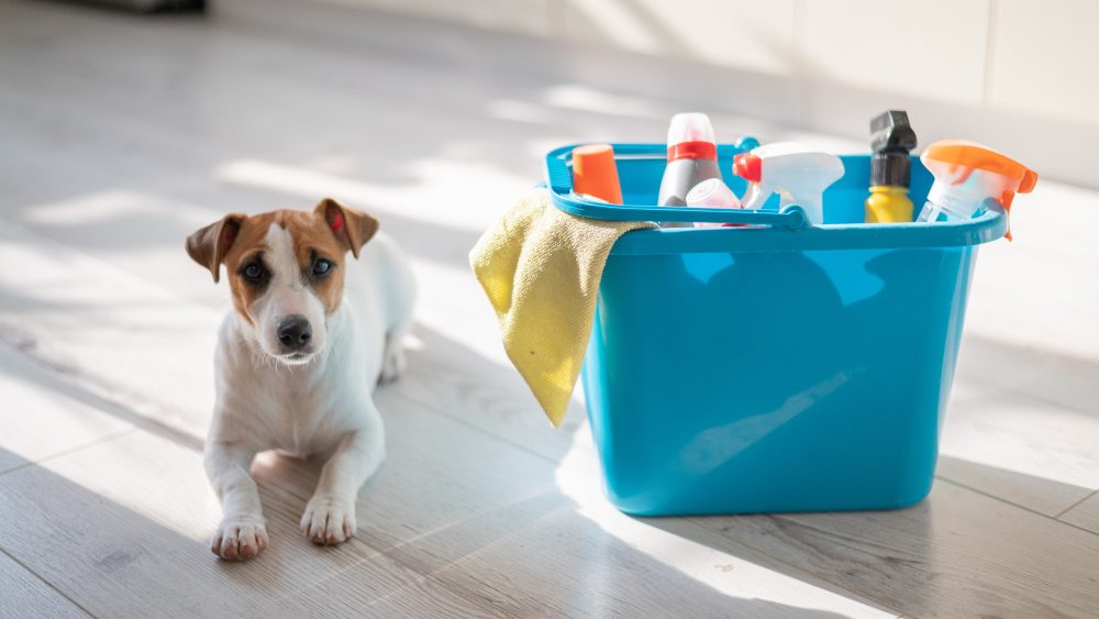 Pet-Friendly Cleaning Tips