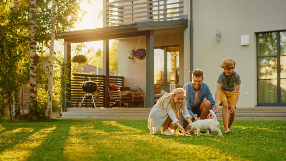 pet-friendly pet-friendly