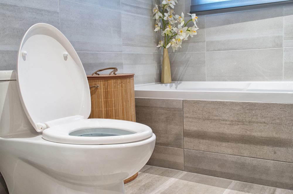 professional bathroom cleaning professional bathroom cleaning